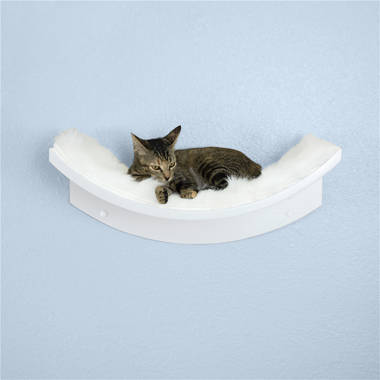 Wayfair cat clearance shelves